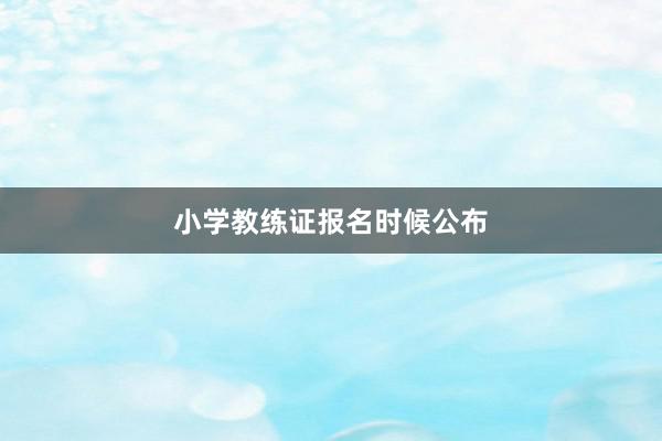 小学教练证报名时候公布
