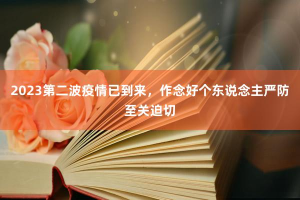 2023第二波疫情已到来，作念好个东说念主严防至关迫切