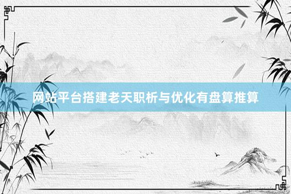 网站平台搭建老天职析与优化有盘算推算