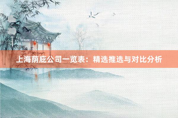 上海荫庇公司一览表：精选推选与对比分析