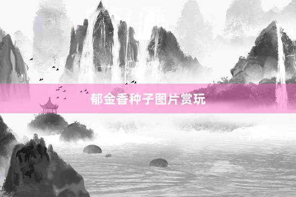 郁金香种子图片赏玩