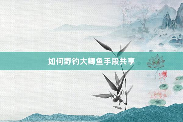 如何野钓大鲫鱼手段共享